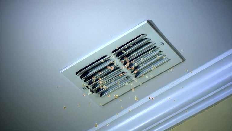 Best HVAC Duct Inspection Services  in Depew, NY